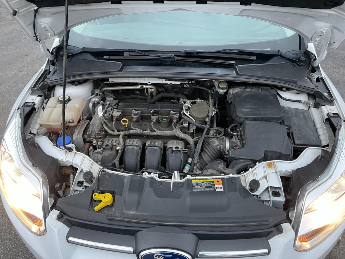 2013 White /Black Ford Focus SE Hatch (1FADP3K29DL) with an 2.0L I4 DOHC 16V engine, 6 Speed Automatic transmission, located at 547 E. Main St., Orwell, OH, 44076, (440) 437-5893, 41.535435, -80.847855 - Photo#15